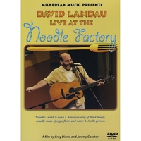 David Landau : Live at the Noodle Factory