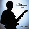 THE DAVID LANDON BAND: This Time