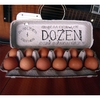 DAVID LYNCH & FRIENDS: Dozen