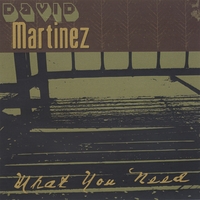 David Martinez : What You Need