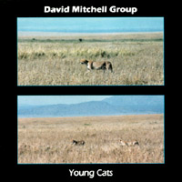 David Mitchell Group : Young Cats
