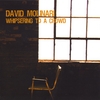 DAVID MOLINARI: Whispering To A Crowd
