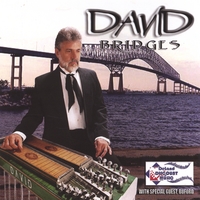 DAVID: Bridges