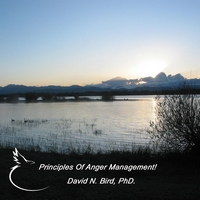 David N. Bird, PhD. : Principles of Anger Management