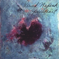 DAVID NEFESH: Pureheart