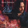 DAVID NEWMAN: Into the Bliss: A Kirtan Experience