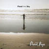 DAVID PAGE: Flood The Sky