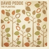 David Pedde: The planting