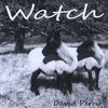 DAVID PERRY: Watch