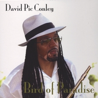 David Pic Conley : Bird Of Paradise