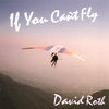 DAVID ROTH: If You Can't Fly