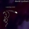 David Rynhart: A Passing Comet