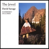 DAVID SAVAGE: The Jewel