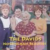 THE DAVIDS: Nottingham Beauties
