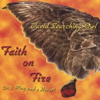 DAVID SEARCHING OWL: Faith on Fire