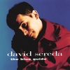 DAVID SEREDA: The Blue Guide