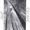 DAVID: Escape