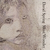 DAVID SPRING: Most Wonder