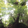 DAVID STEVENSON: May, Arise