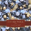 DAVID TOLK: Carol of the Bells (Single)