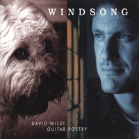 DAVID WILDI GUITAR POETRY: Windsong