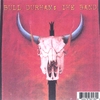 DAVE DURHAM AND THE BULL DURHAM BAND: Bull Durham: the Band