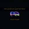 DAVID DUNN: The Sound of Light in Trees