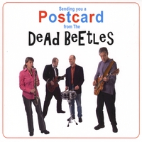The Dead Beetles : Sending You a Postcard From the Dead Beetles