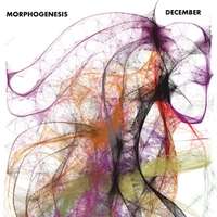 December: Morphogenesis