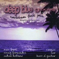 Deep Blue Groove : Deep Blue Groove