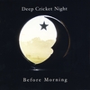 DEEP CRICKET NIGHT: Before Morning