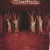 THE DEEP DARK WOODS: The Deep Dark Woods