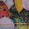DEEP ROOTS: Deep Roots 3