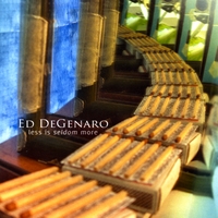 Ed Degenaro : Less Is Seldom More