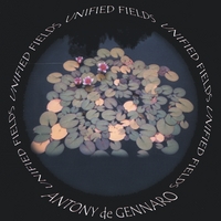 Antony De Gennaro - Unified Fields Cover