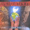 Dehumo Bickersteth: Eledumare Vol. 2