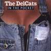 The DelCats: In The Pocket