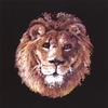 DELTON PARKER: The Hungry Lion