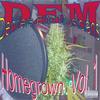 DEM Recordings: Home Grown Vol.1