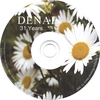 DENAE: 31 Years