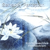 DENEBULAE: Sensory Perception