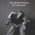 AMY DENIO & PETUNIA: To Lie Tenderly