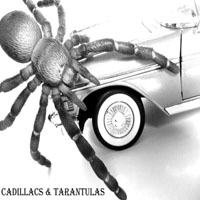 JEREMY DEPRISCO: Cadillacs & Tarantulas