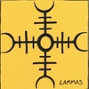 DERMAPTERA: Lammas