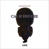 DERRICK FINCH TRIO: Calm Breeze (live)