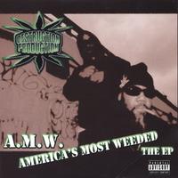 DESTRUCTION PRODUCTION: (amw) America's Most Weeded The (ep)