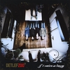 DETLEF ZOO: If It Makes Us Happy