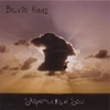 Devin Haas: Shipwrecked Soul