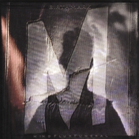 MindFluxFuneral : Birthmark