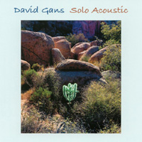 DAVID GANS: Solo Acoustic